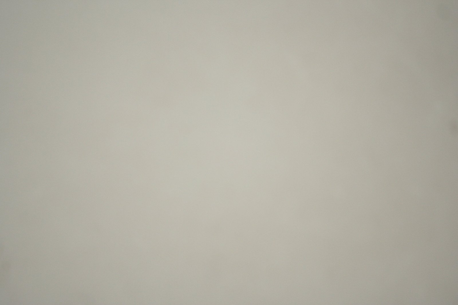 Pure White Honed Limestone Slab (20mm) 2 Pure White Honed Limestone Slab (20mm) - Image 2